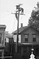 Men working on telephone line, ca. 1925
