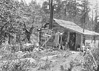 Miner's cabin 