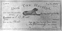 Dog tax receipt of 1891