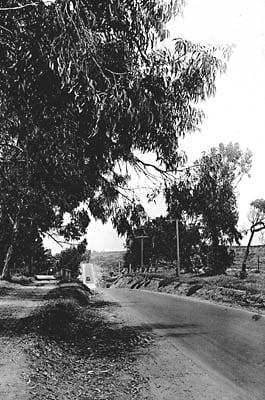 Coast Road: 1900-1950