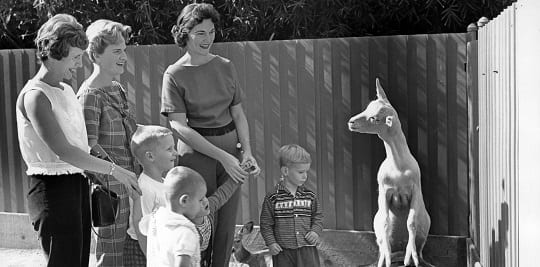 OP 15746-3206 Children's Zoo - Goat - Tortoise - c. 1960